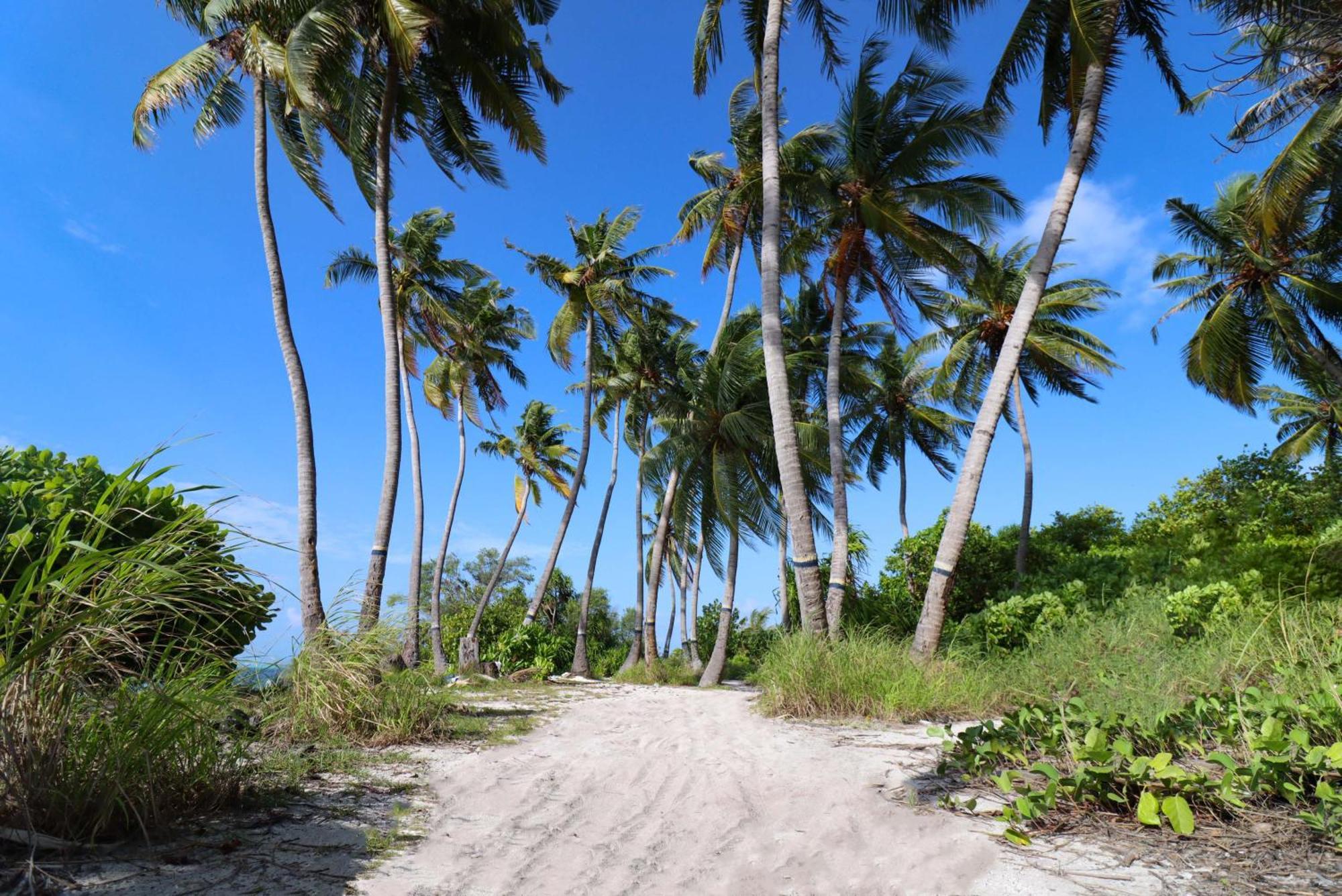 Hotel Rashu Hiyaa Dhiffushi Exteriér fotografie